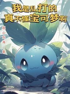 宝可梦宝可梦旅途