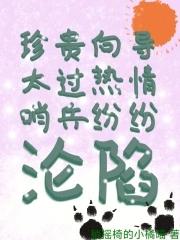 向导和哨兵的那些事