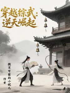 综武侠逆袭