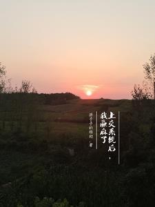 被系统爱上的短剧